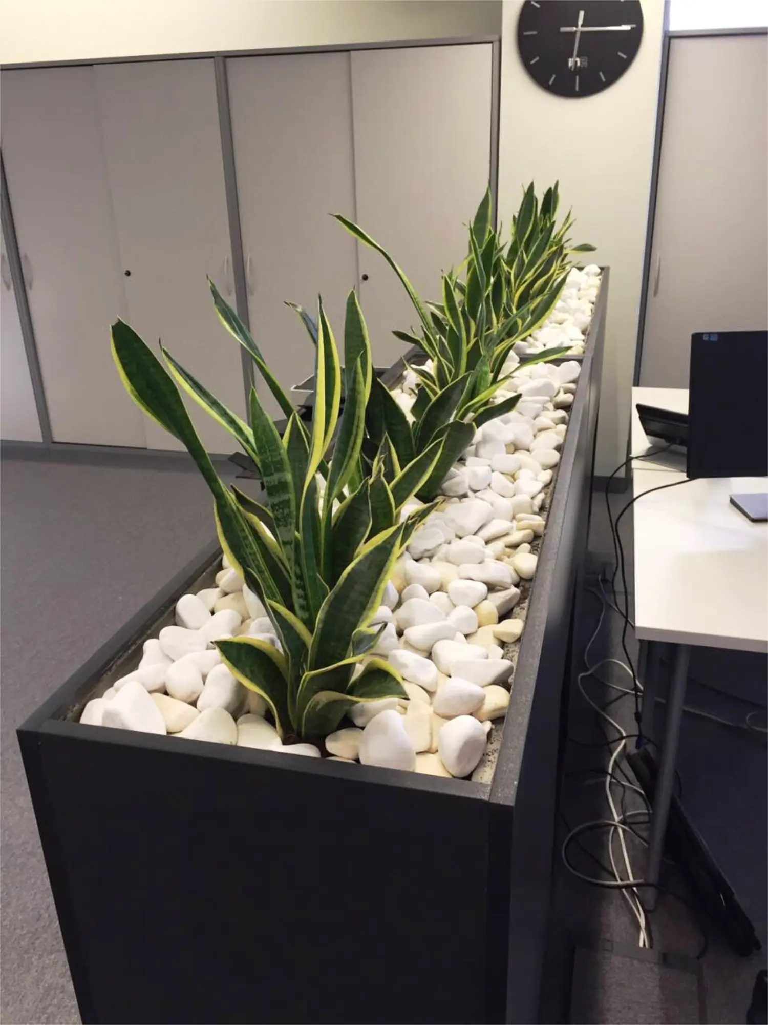 Projekat