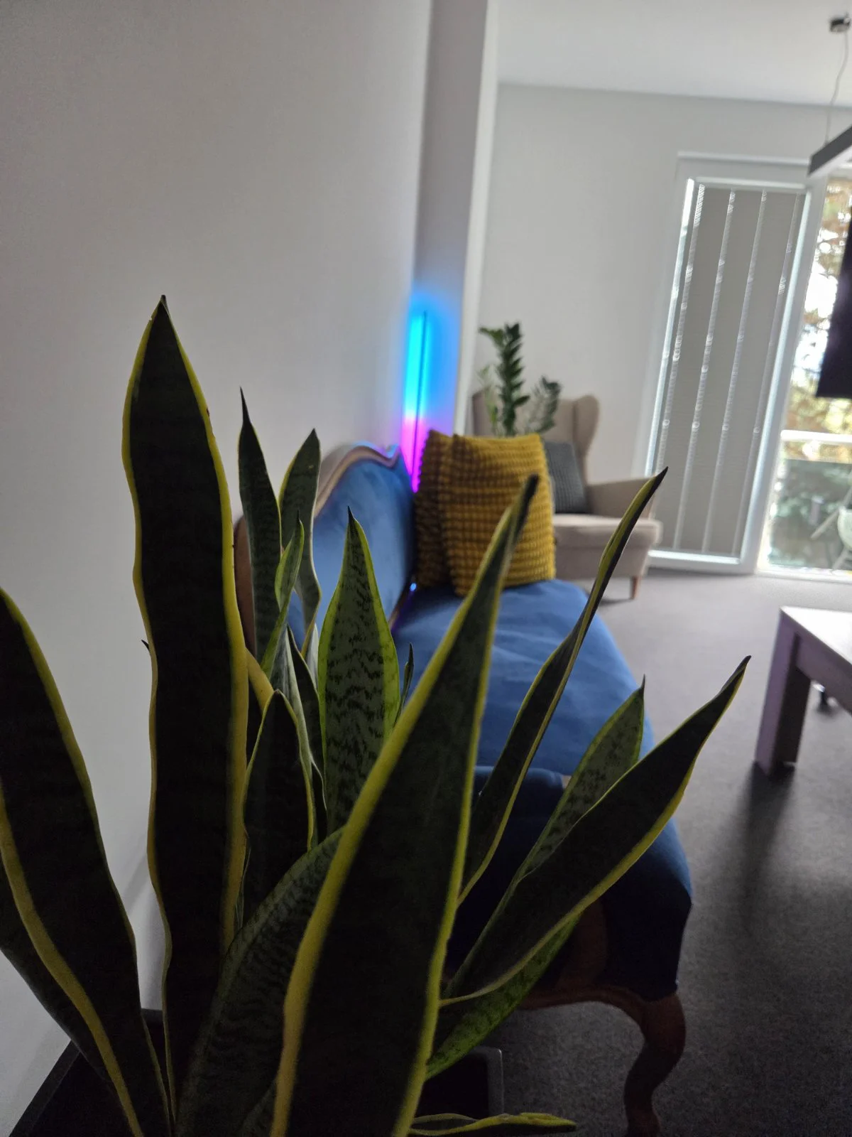 Projekat