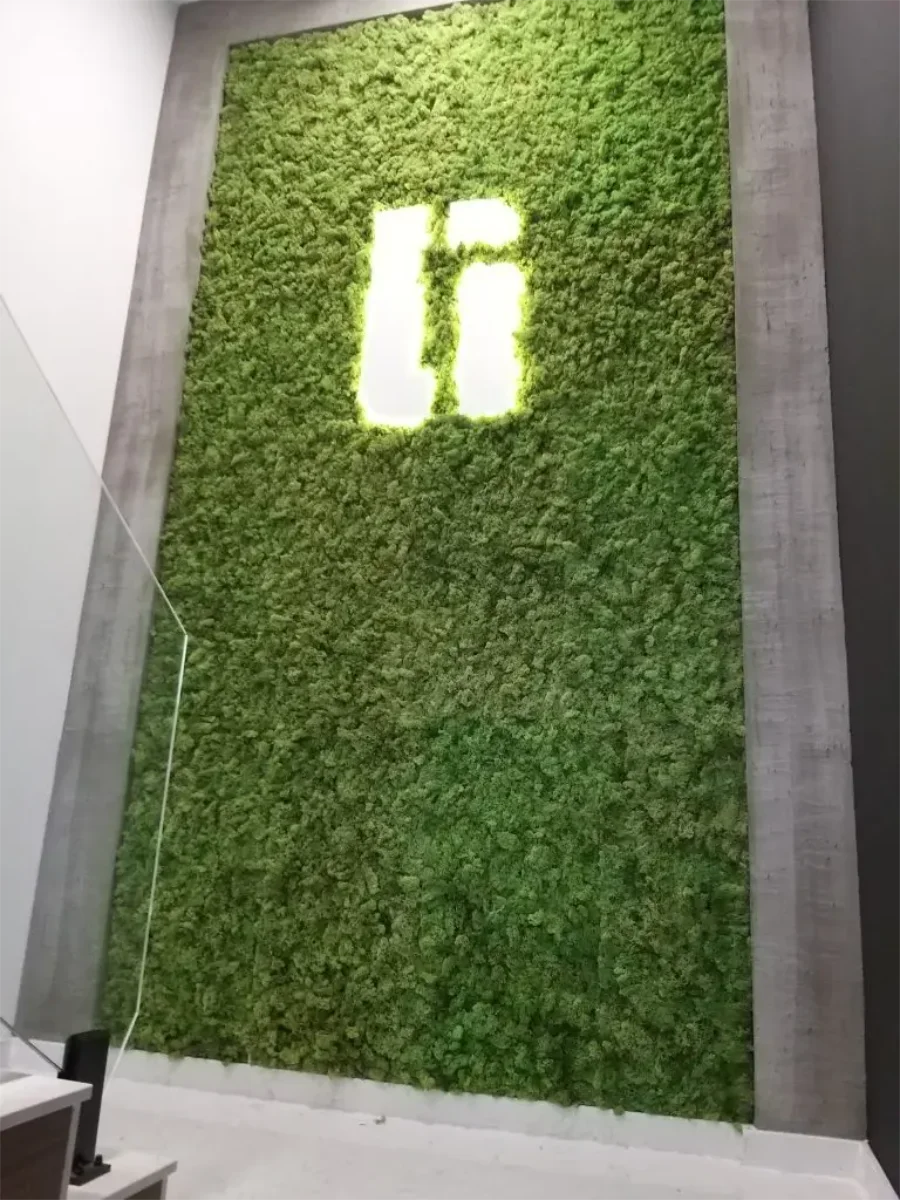 Projekat