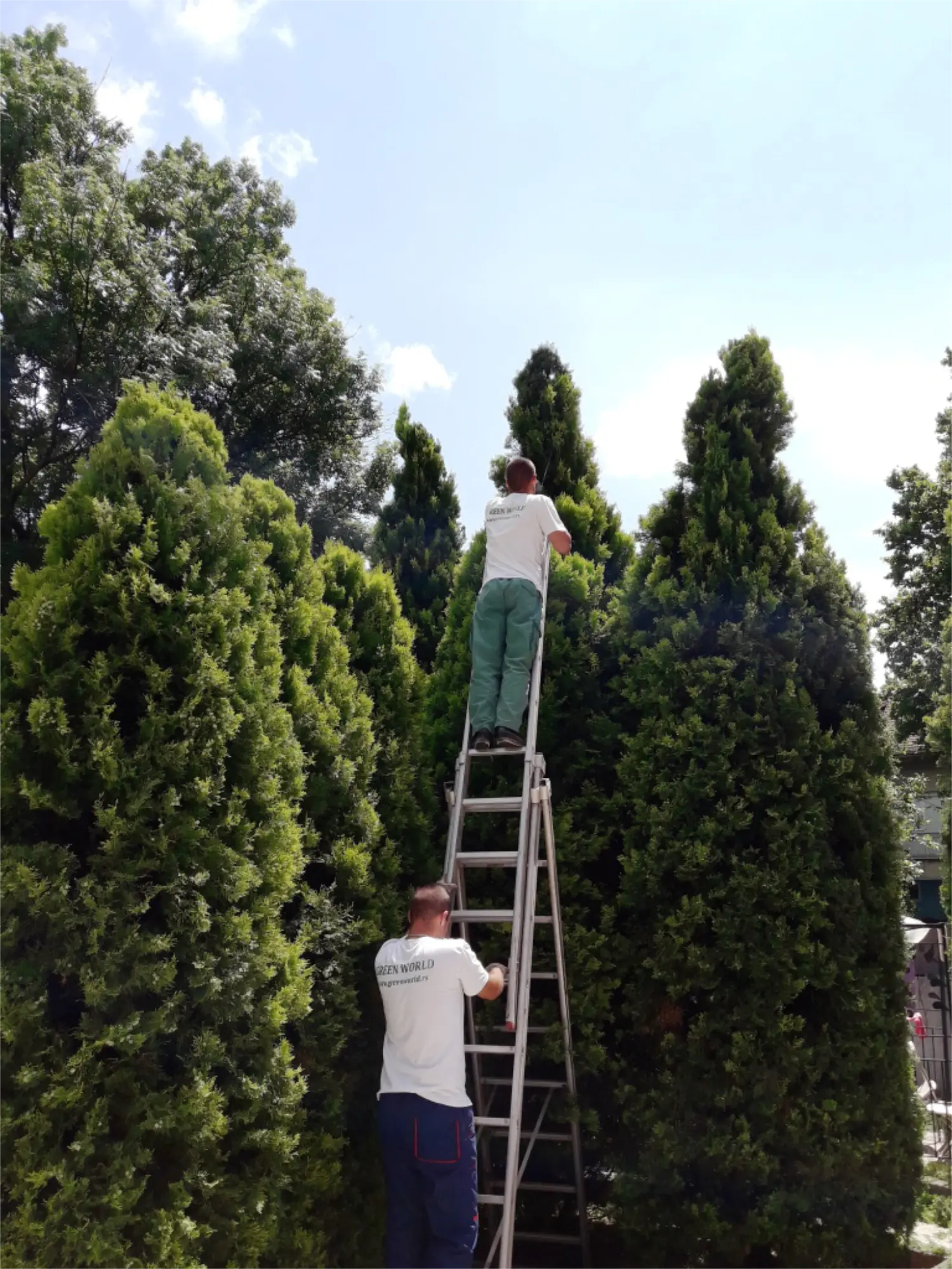 Održavanje zelenih površina i travnjaka - slika 1