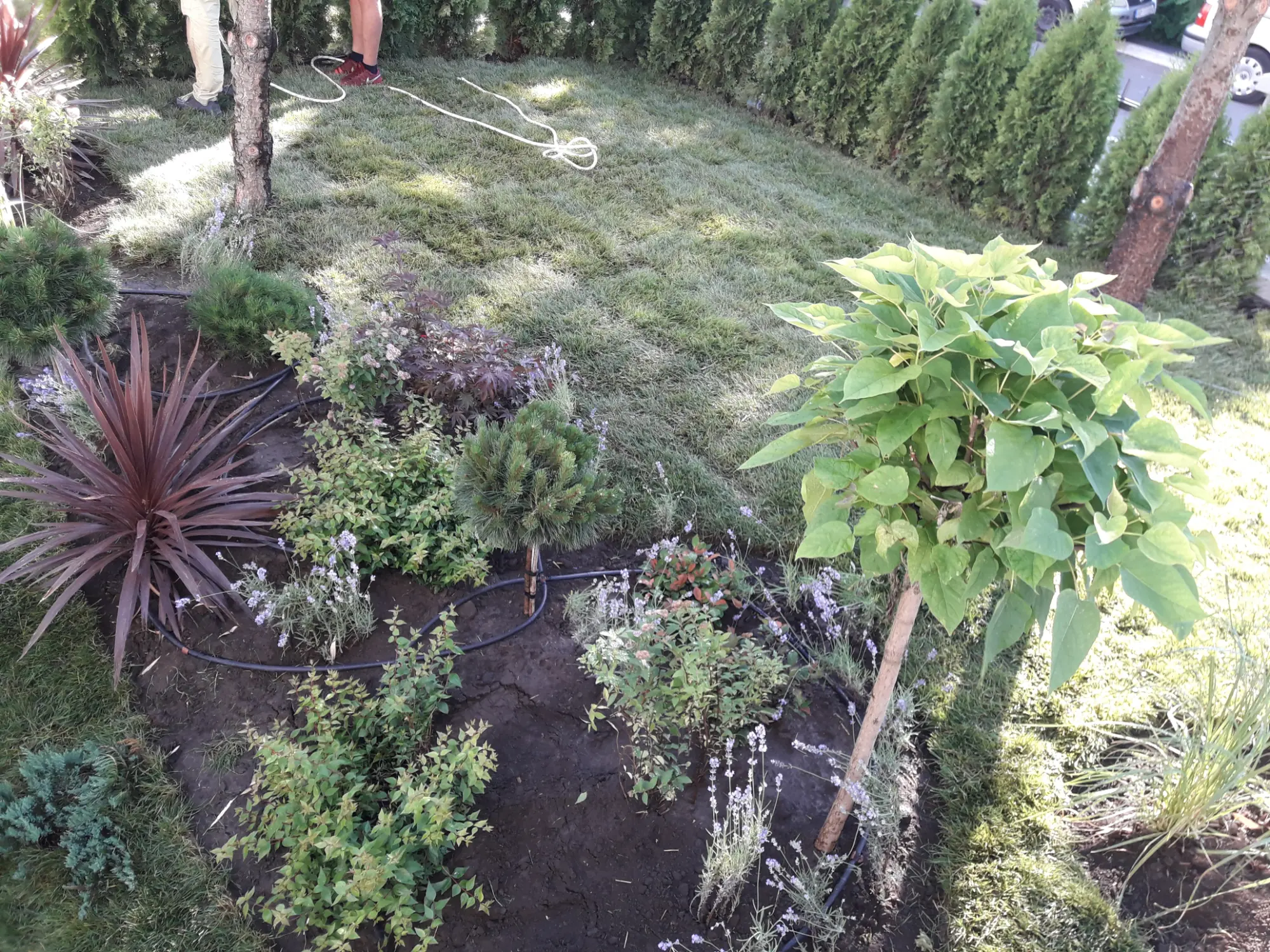 Projekat