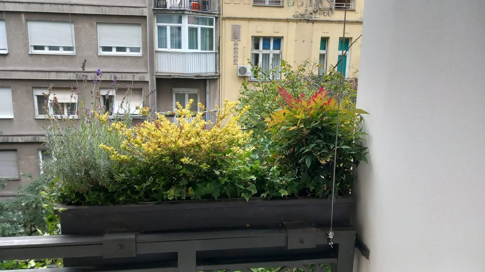 Projekat