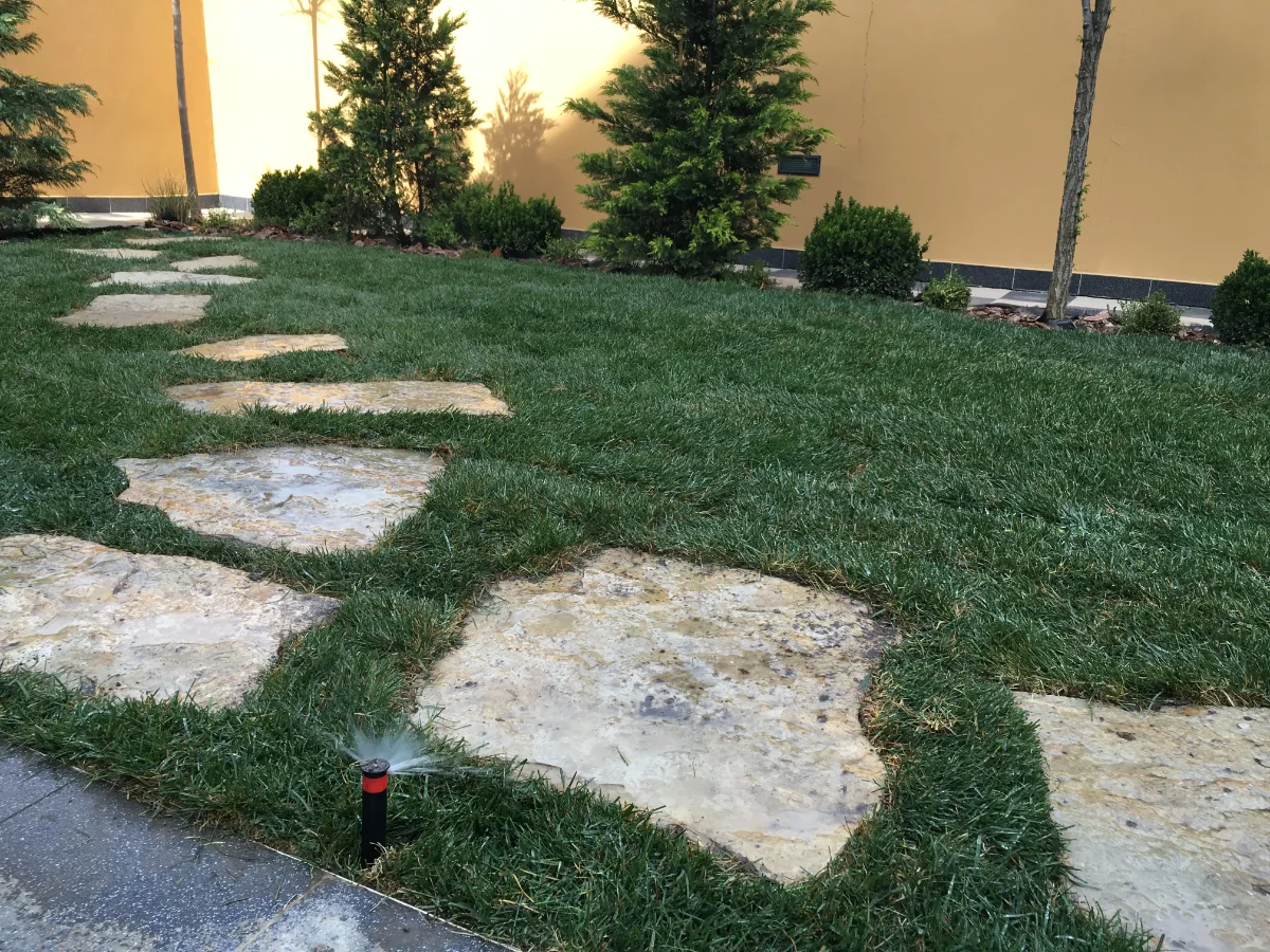 Projekat
