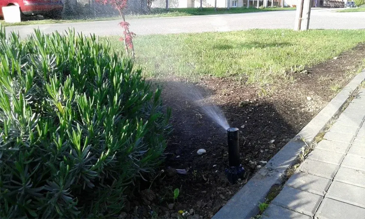 Projekat