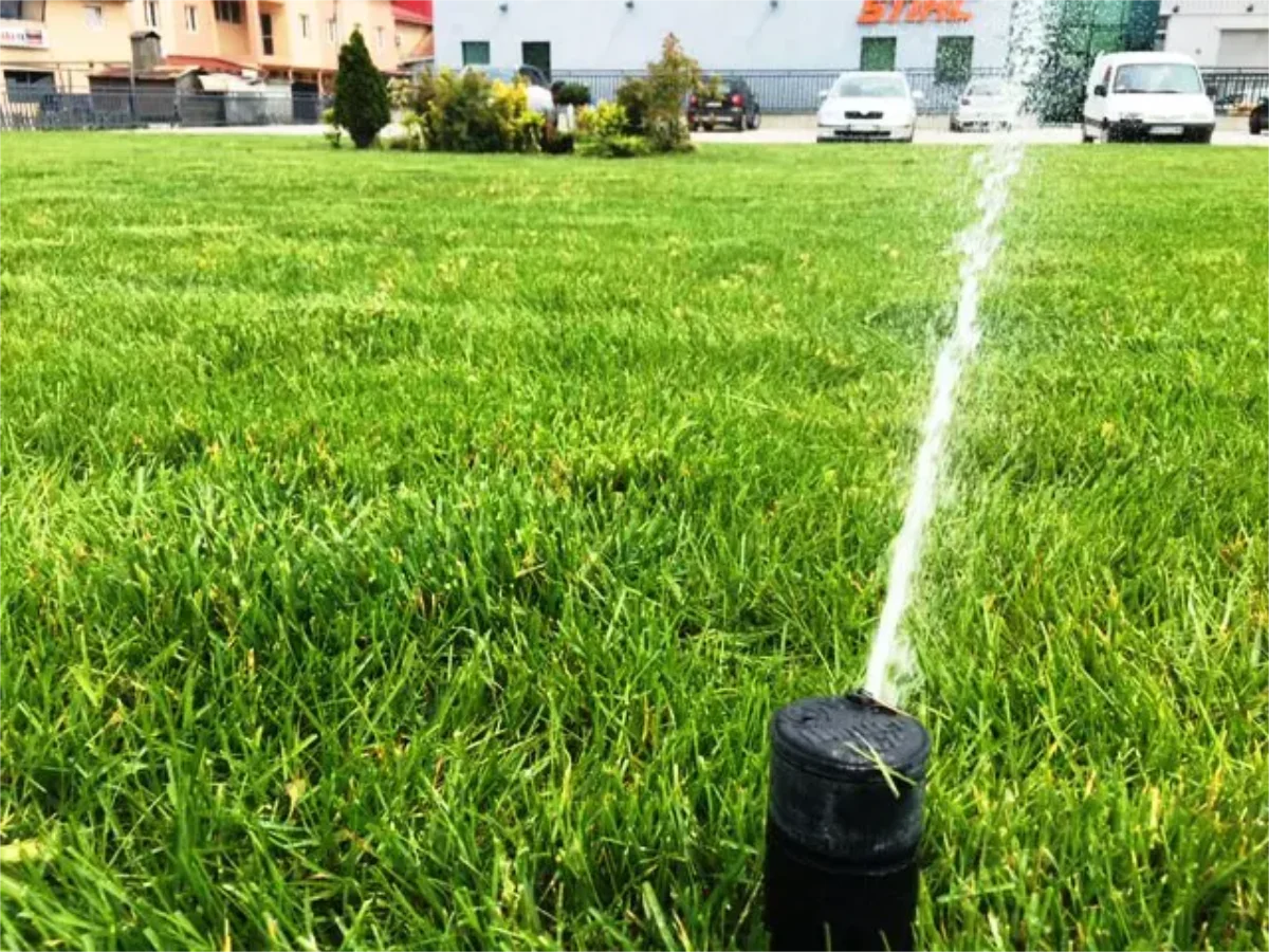 Projekat