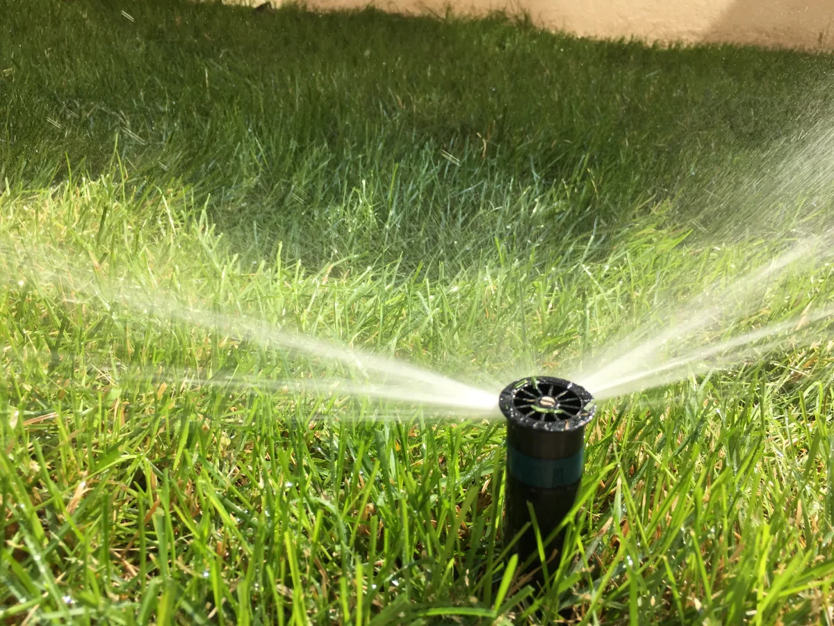 Projekat