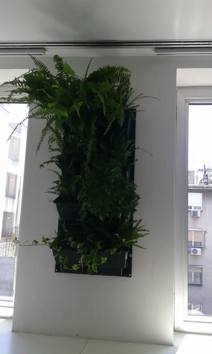 Projekat