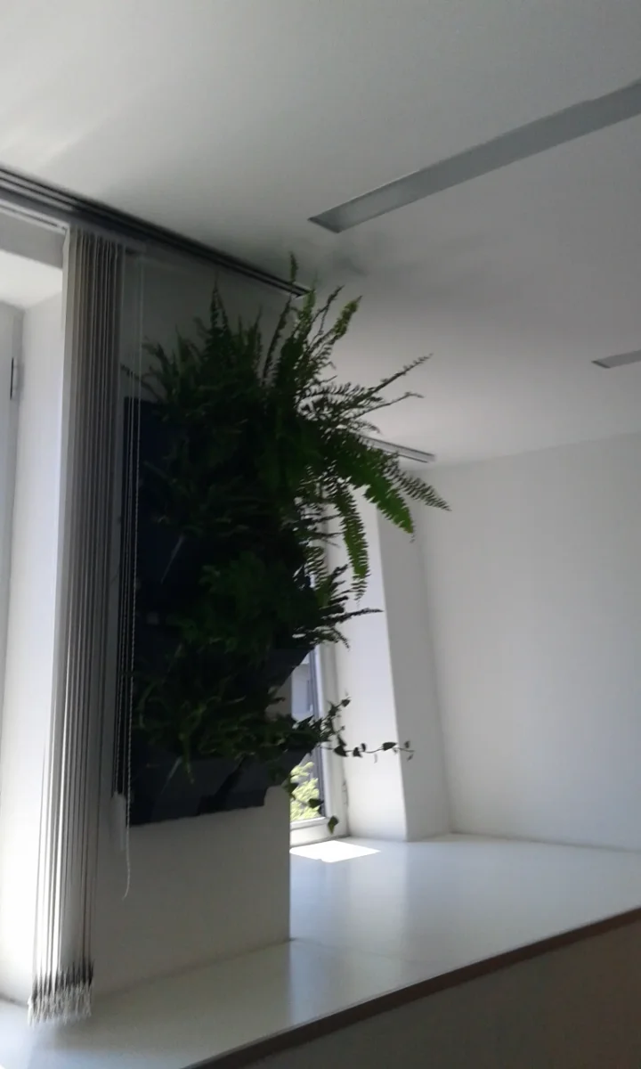 Projekat