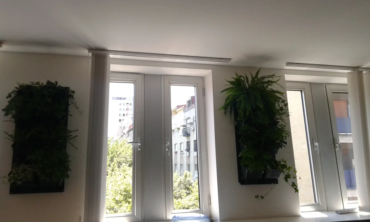Projekat