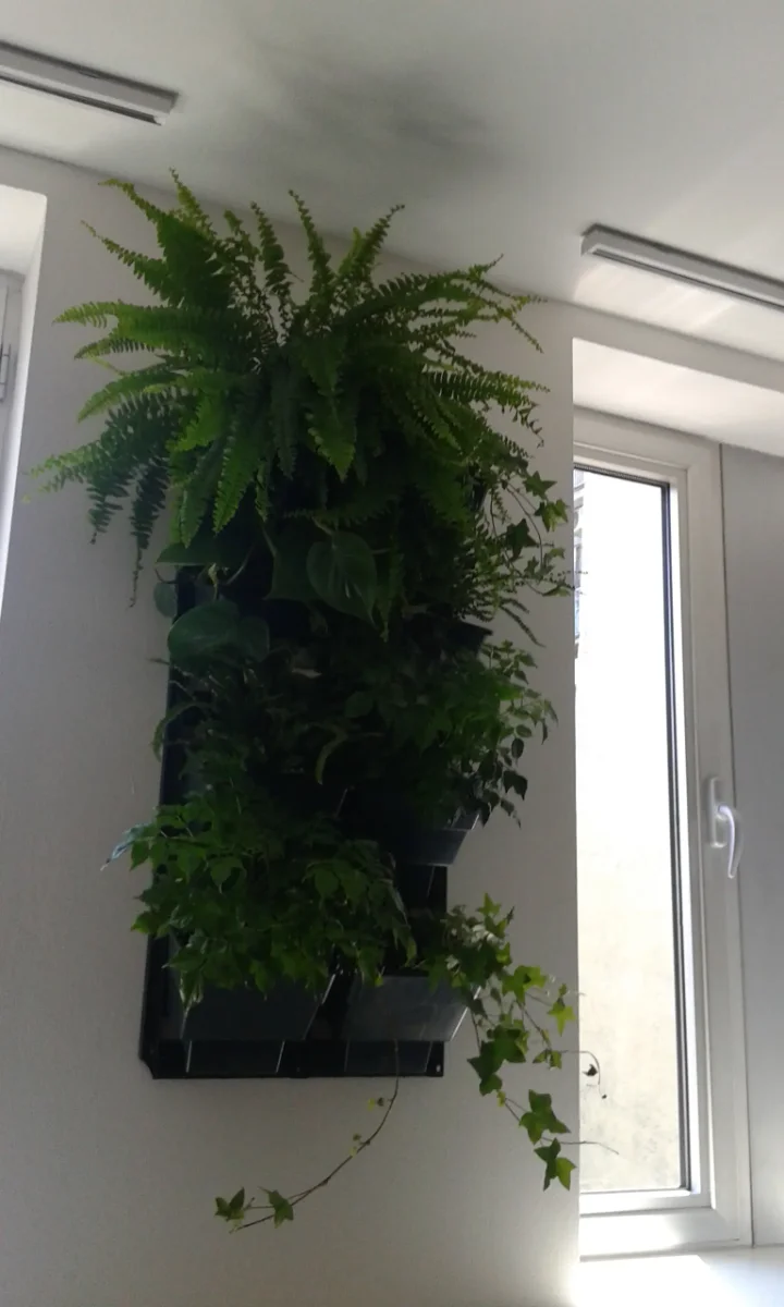 Projekat